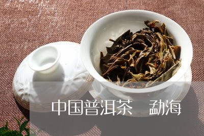 中国普洱茶 勐海/2023041112936